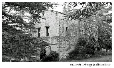 Cellier de l'abbaye de Lure