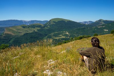 Sommet de la Platte vers le sud et Lure