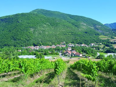 Vignes à Valserres