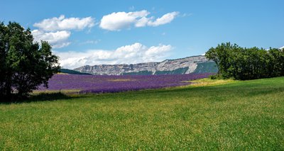 Peyralongue au nord ouest de Laragne